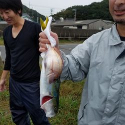 みやけ丸 釣果