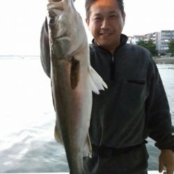 bay style 釣果