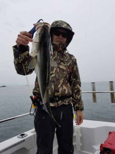 海龍丸（島根） 釣果