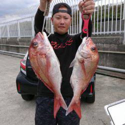 だて丸 釣果