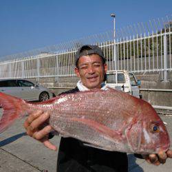 だて丸 釣果