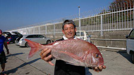 だて丸 釣果