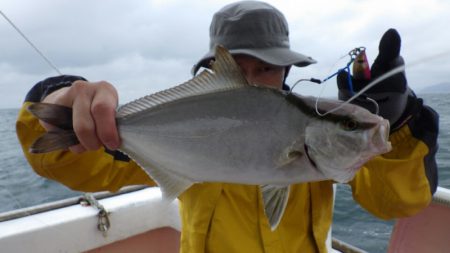 阿波哲 釣果