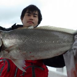 阿波哲 釣果