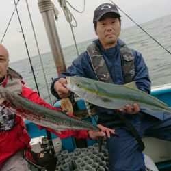 阿波哲 釣果