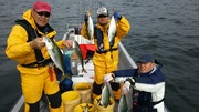 ＮＡＧＡＳＨＩＭA ＭＡＲＵ（永島丸） 釣果