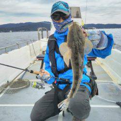 はしくに 釣果