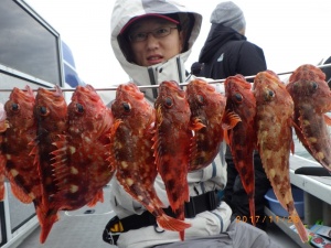 石川丸 釣果