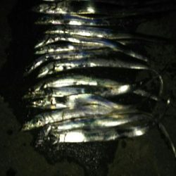 太刀魚釣り