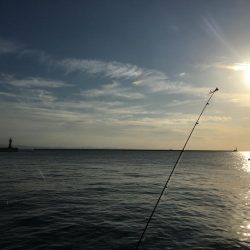 今日はウキ釣りで