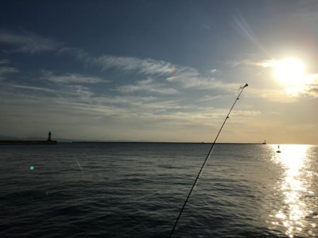 今日はウキ釣りで