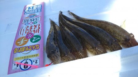 ハゼ釣り