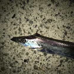 厳しい釣行