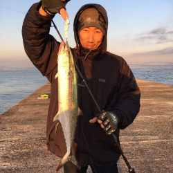 新島赤灯台の夕まずめも朝まずめ♪