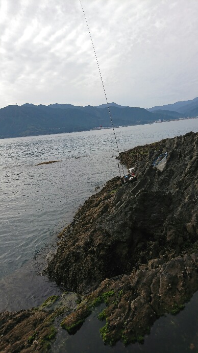 尾鷲でグレ釣り