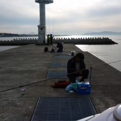 爆釣期待し東二見白灯台波止へ