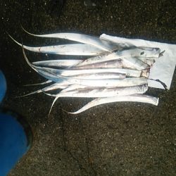 太刀魚釣り