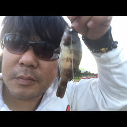 城南島へ魚釣りに行ってまいりました。
