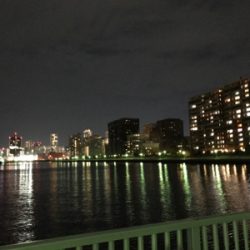 渋太刀ボイル@湾奥