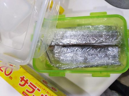 昨日リベンジ太刀魚調査