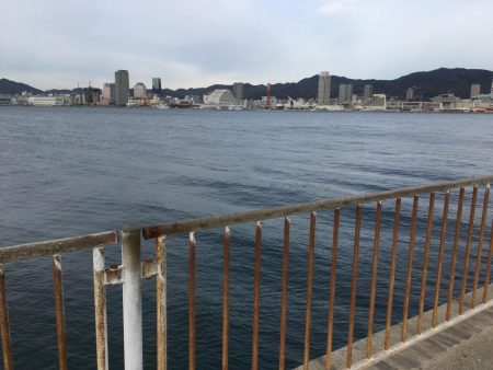 表層のみの釣果