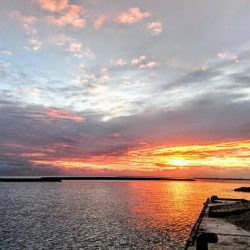 西表島 ルアーでオニヒラアジ