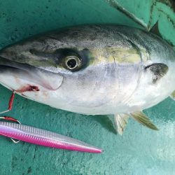 広進丸 釣果