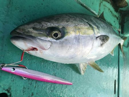 広進丸 釣果