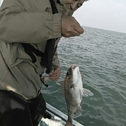 フィッシングガイド りょう 釣果