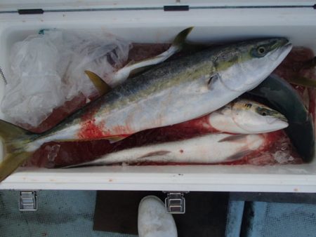 清和丸 釣果