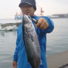 フィッシング太陽 釣果