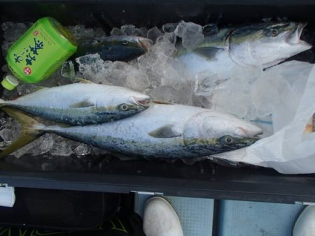 清和丸 釣果