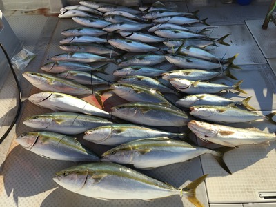 ミタチ丸 釣果