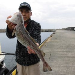 大進丸（新潟） 釣果