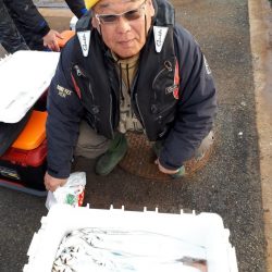 釣り船くわだ 釣果