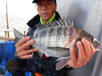 鯛紅丸 釣果