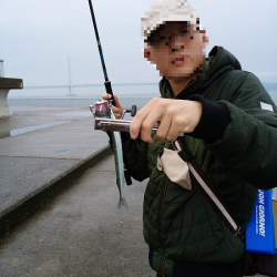 雨の中のサヨリ釣り