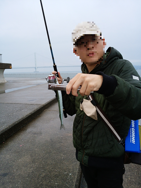 雨の中のサヨリ釣り