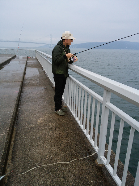 雨の中のサヨリ釣り 兵庫県 瀬戸内海側 大蔵海岸 その他餌釣り サヨリ 陸っぱり 釣り 魚釣り 釣果情報サイト カンパリ