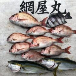 網屋丸 釣果