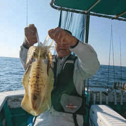 清和丸 釣果