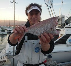 はたの家 釣果