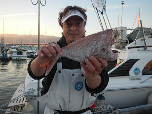 はたの家 釣果