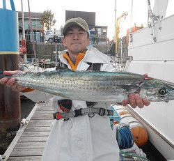 はたの家 釣果