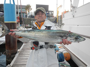 はたの家 釣果