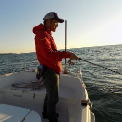 フィッシングボート空風（そらかぜ） 釣果