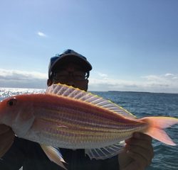 大宝丸 釣果