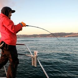 フルコンタクト 釣果