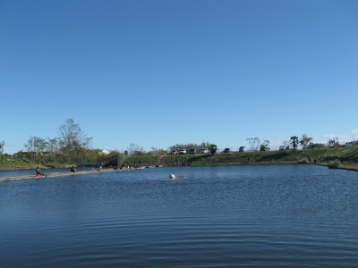 吉羽園 釣果