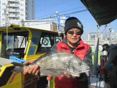 荒川屋 釣果